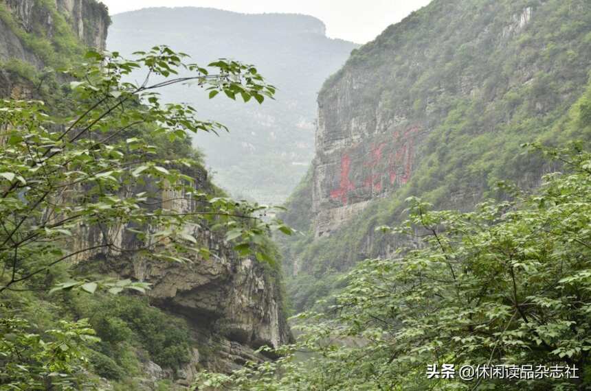 品酒筆記 || 為什么習酒只能排第三？