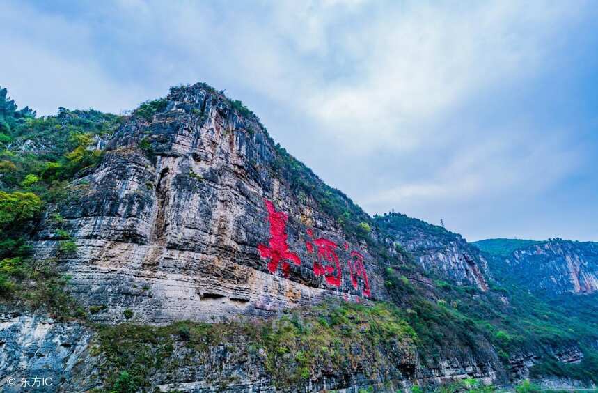 購買京東假茅臺，原因令人唏噓