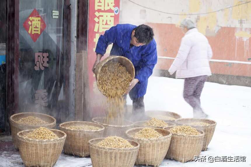 酒廠煙火減少、酒糟不見了，現在的白酒真的是純糧食釀造的嗎？