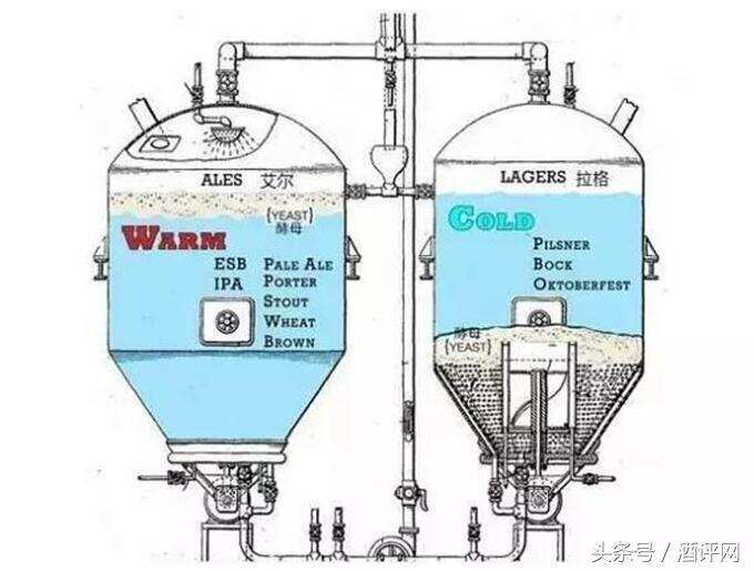 喝了這么多年酒，今天終于分清楚了精釀啤酒和普通啤酒的區別！