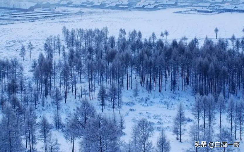 黑龍江4大“失敗酒”，口碑直追北大倉，本地人：只有我們自己喝