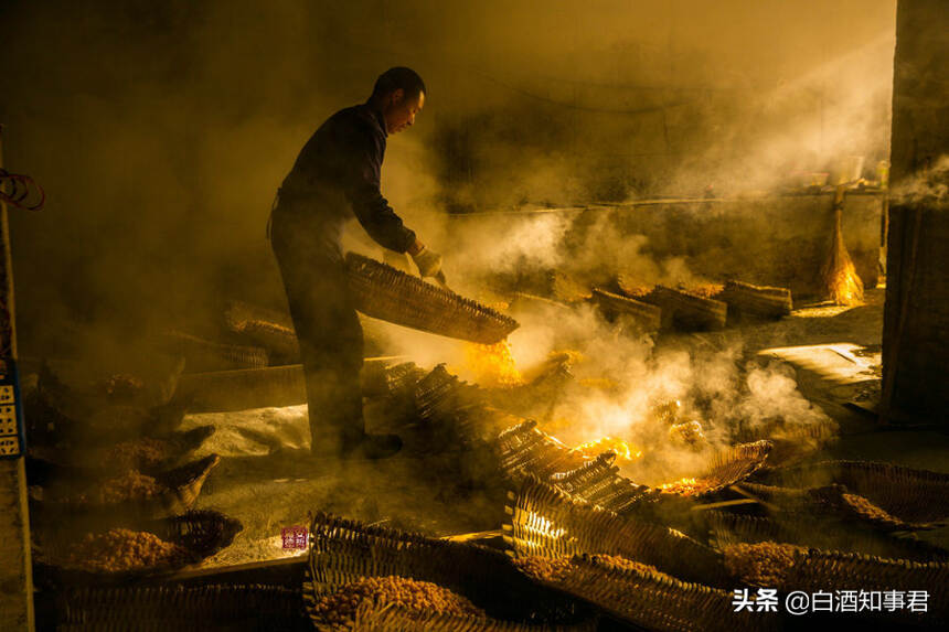 盤點4大物美價廉的“小茅臺”，款款口感驚艷，可惜知道的人不多