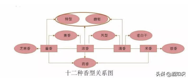 中國白酒香型進化史