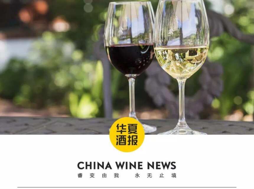 全球葡萄酒今年收成受損？速看這份預測報告