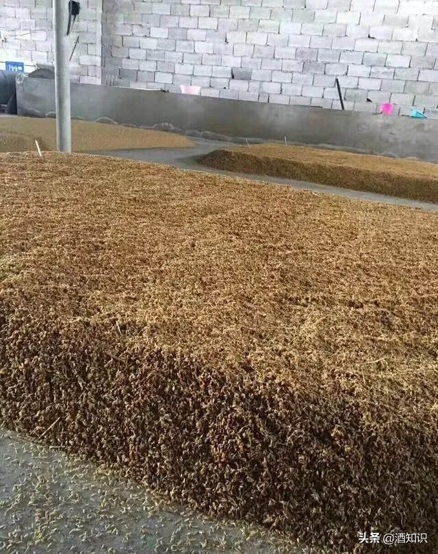 悲哀！酒精酒幾十年的歷史，卻迫害了五千年的白酒文化