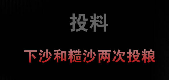 揭示1236濃香型白酒密碼及12987醬香型白酒密碼