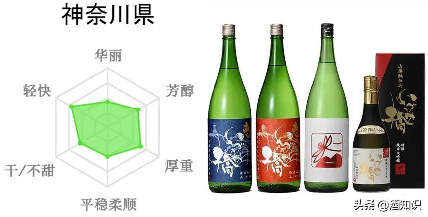 全日本都產清酒，不同產區各有什么特點？