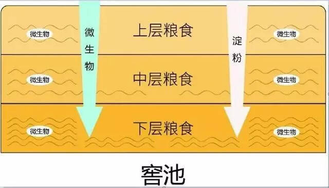 揭示1236濃香型白酒密碼及12987醬香型白酒密碼