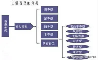 愛喝酒的你！必須要知道的白酒九大誤區