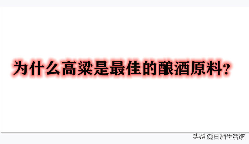 茅臺釀酒師揭秘：什么才是“釀酒”的最佳原料？