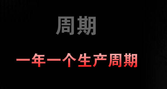 揭示1236濃香型白酒密碼及12987醬香型白酒密碼