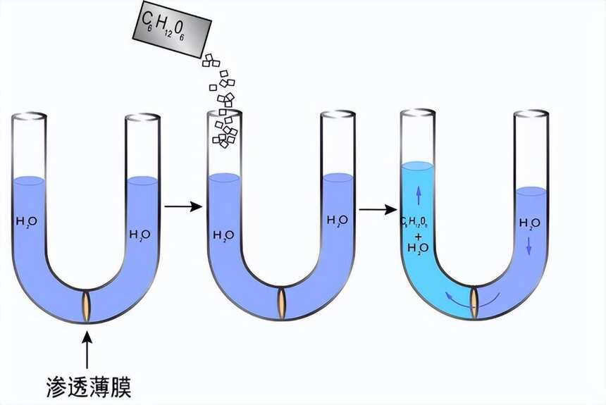 坊間流傳的偽命題：喝得了十瓶啤酒，卻喝不了十瓶水，為什么呢？