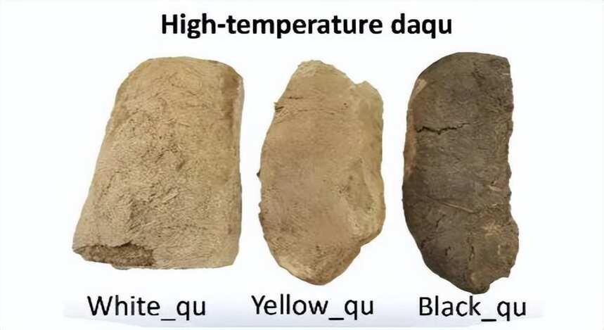 喜訊！國家固態釀造工程技術研究中心聯合江南大學在國際知名期刊發布重大成果