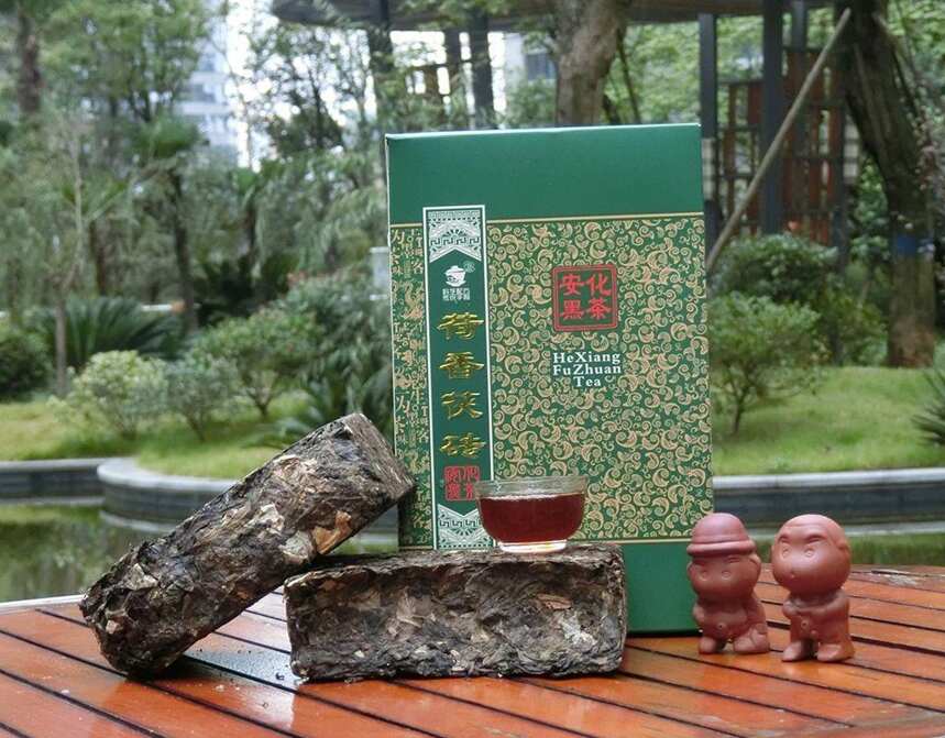 粉絲來問：入秋后茶葉要換嗎？過來人：宜喝2茶，要應季而食