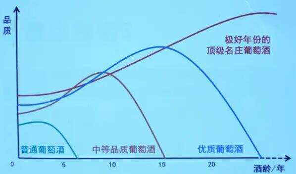 最基礎的葡萄酒知識大全，了解這些至少能成為半專業人士