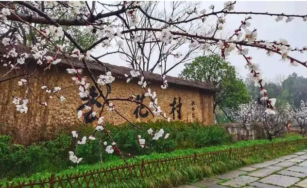 汾酒產地杏花村中華第一村，最早的國酒釀造地還產出兩款藥酒