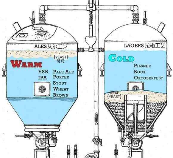 什么叫拉格啤酒，Lager是桶底酵母低溫發酵的淡味啤酒
