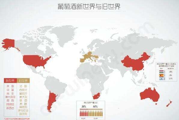 最基礎的葡萄酒知識大全，了解這些至少能成為半專業人士