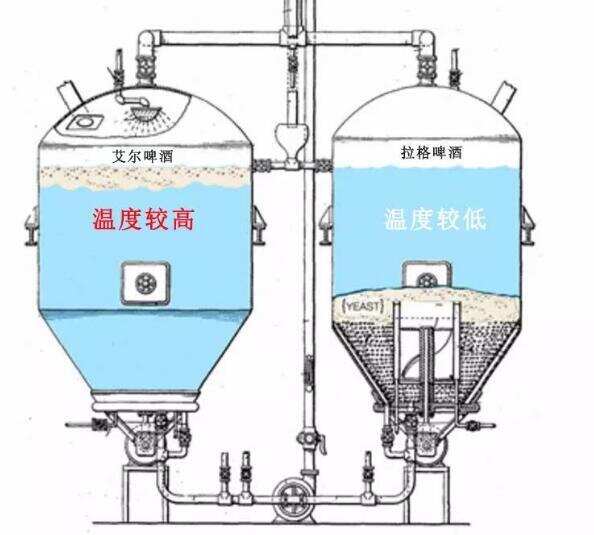 精釀啤酒和普通啤酒有什么區別，主要是規模不同口感差距并不大