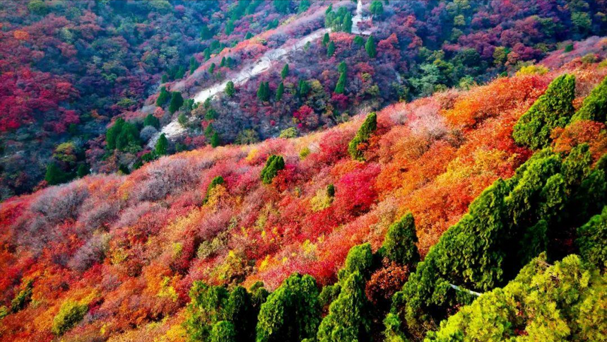 今日霜降丨2022年霜降來臨，秋季的最后一個節氣