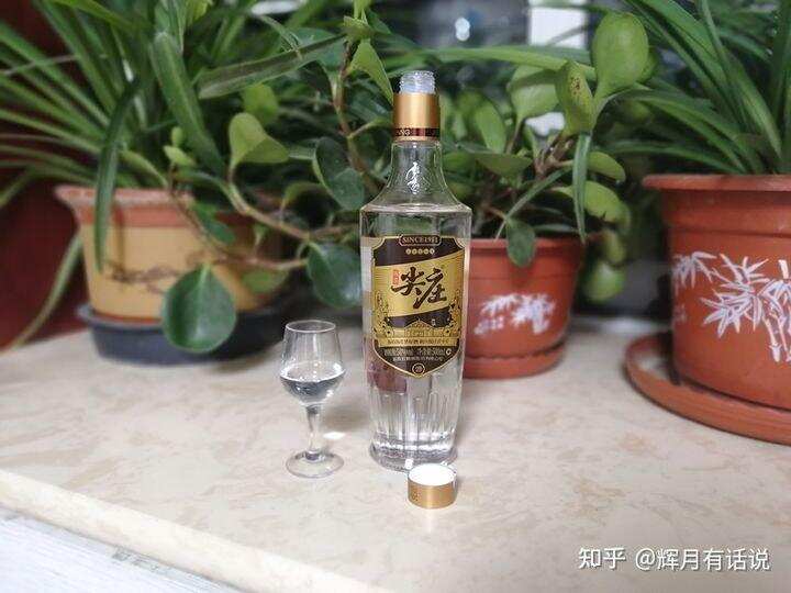 光瓶酒哪個更好喝？T68、玻汾、尖莊、綠西鳳、順品郎大PK