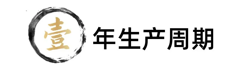 醬香12987是什么來頭？觀東方白酒帶你探尋：地道醬香背后的秘密