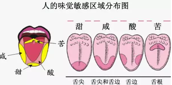 “感情深一口悶”，為什么葡萄酒不行？