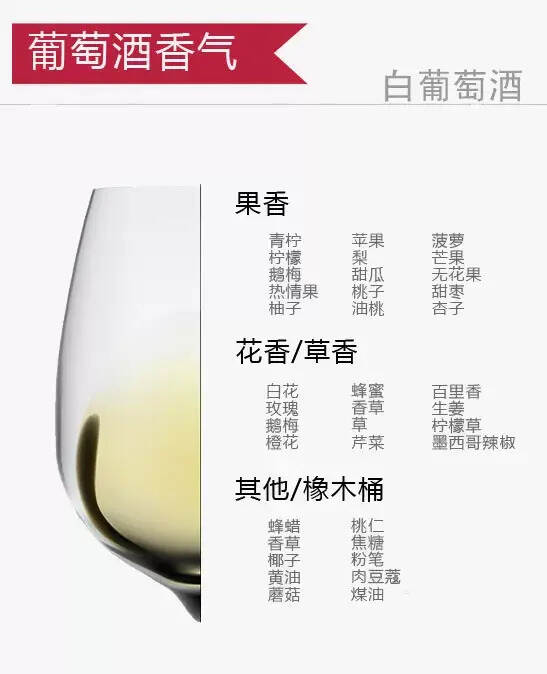 12張圖帶你認識葡萄酒的正確姿勢