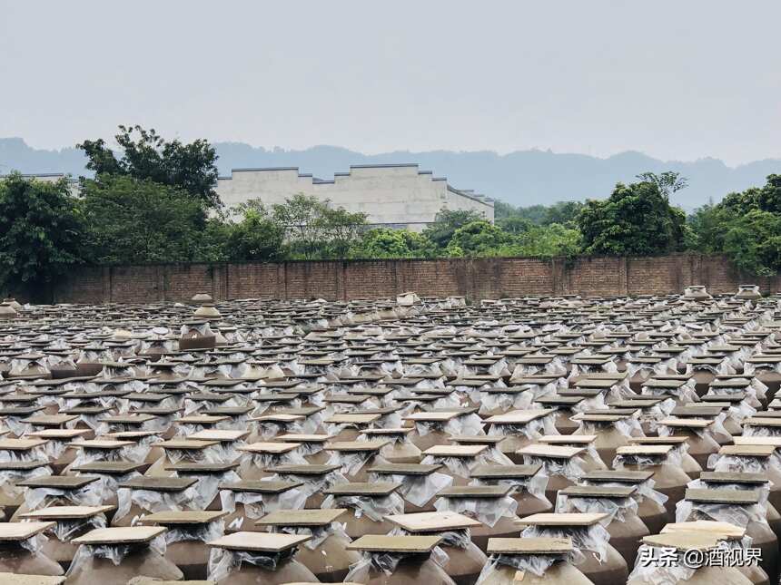 全國主流媒體宜賓白酒產區行③：酒旅融合 永樂古窖挖掘“三老”資源打造4A級景區