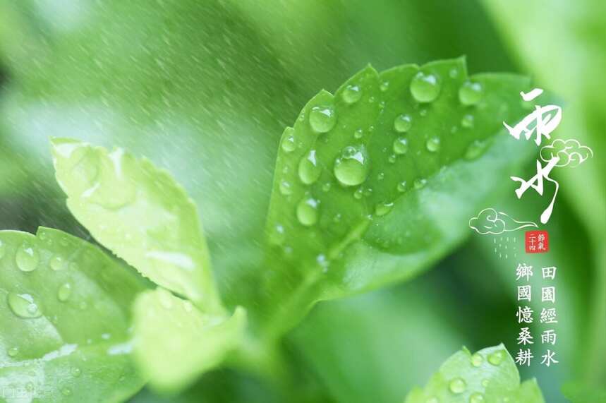 “雨水”如約而至，春已到，佳釀醇