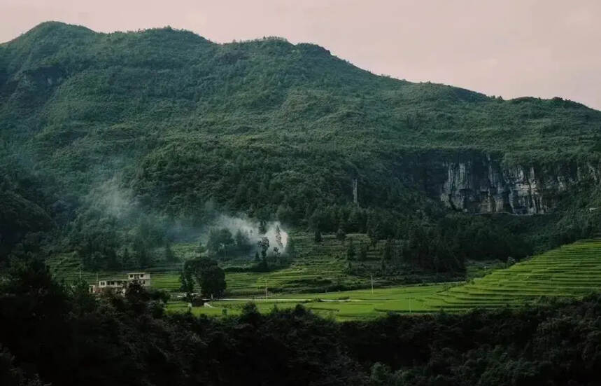 在貴州·知本一站式體驗貴州特色風物