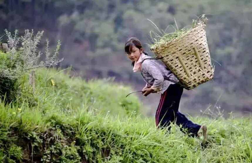 貴州農村娃兒最熟悉的9件事，你一定經歷過