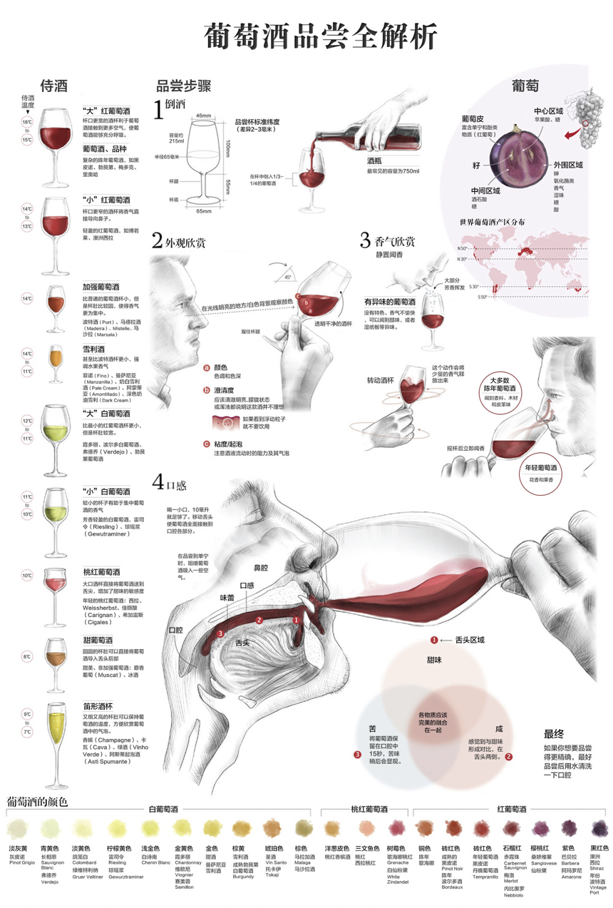 掌握了這十張圖，葡萄酒保證你就入門了