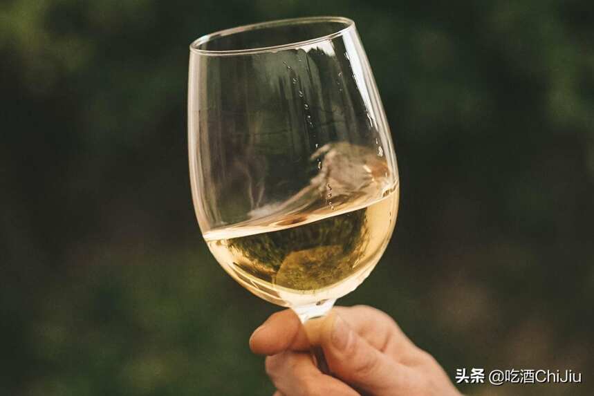 什么是白葡萄酒？有些是你不了解的