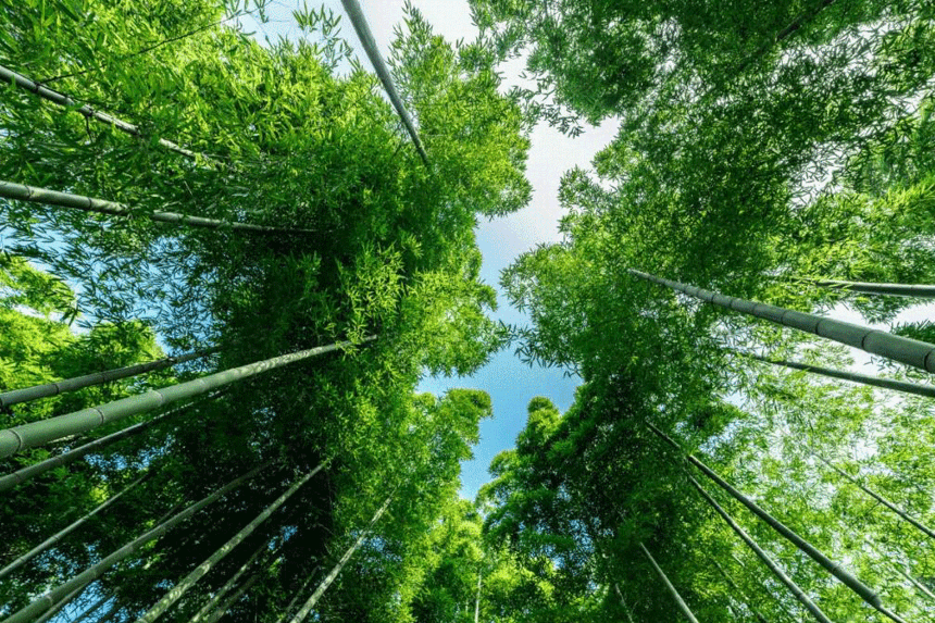 江湖論酒 | 美景好酒，三五好友，讓青春轟轟烈烈不留遺憾