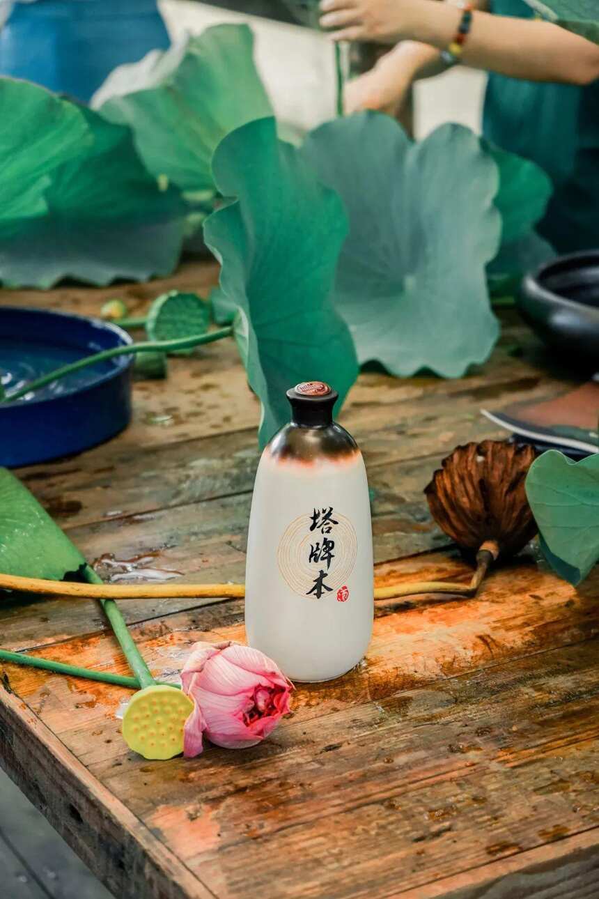 荷葉居然和紹興黃酒有著密不可分的聯系？