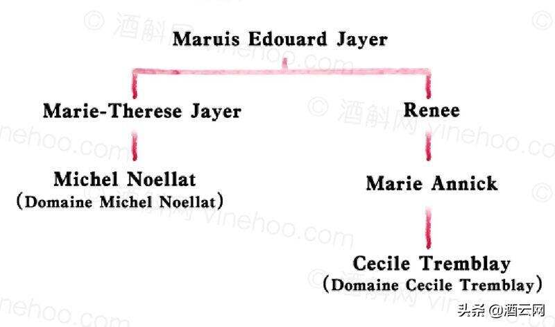 “勃艮第酒神”Henri Jayer的家族有多龐大？4大分支，門徒眾多