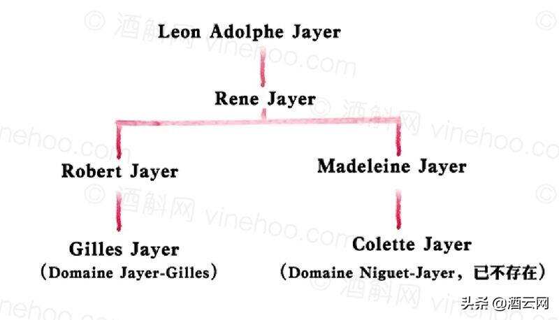 “勃艮第酒神”Henri Jayer的家族有多龐大？4大分支，門徒眾多