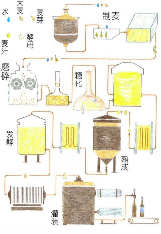 如果辨別一款好的啤酒之了解“釀造過程”