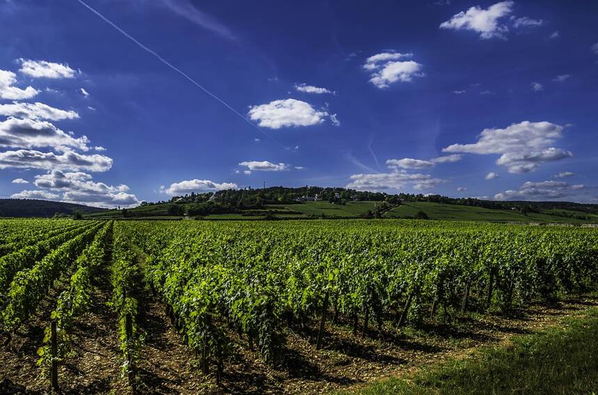 勃艮第克雷曼 Crémant de Bourgogne