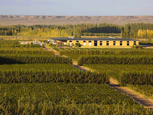 世界盡頭酒莊 Bodega del Fin del Mundo