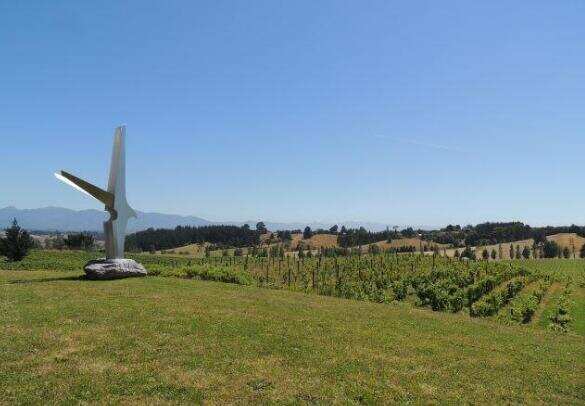 庫伯斯溪酒莊 Coopers Creek Vineyard