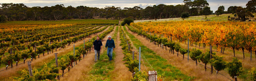 赫斯威爾酒莊 Heathvale Vineyards