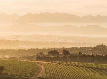 德班維爾山酒莊 Durbanville Hills