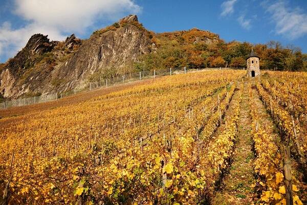 里昂山坡 Coteaux du Lyonnais