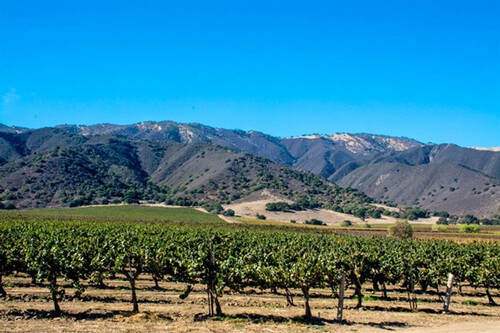 拉羅謝爾酒莊 La Rochelle Winery