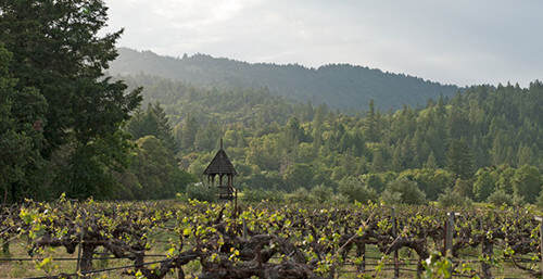 弗雷酒莊 Frey Vineyard