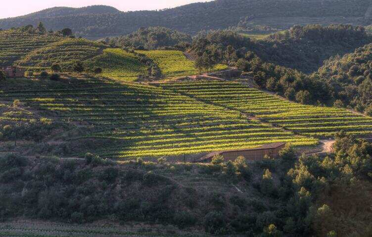 普瑞特酒莊 Portal del Priorat