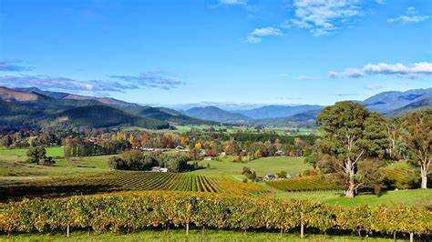 林格礁酒莊 Ringer Reef Winery