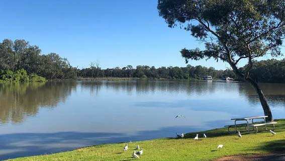 河地Riverland——澳洲葡萄酒產區一覽